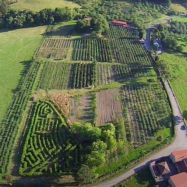 Vista panorámica soleada de los campos de cultivo de la Finca El Malaín en San Justo, Villaviciosa